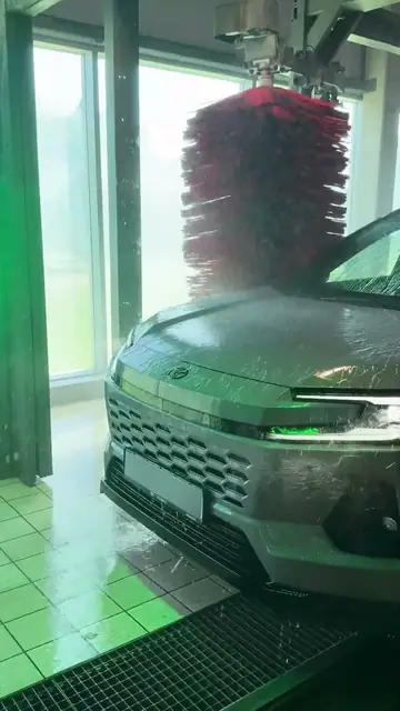 Visureigis tarp šepečių Klaipėdoje